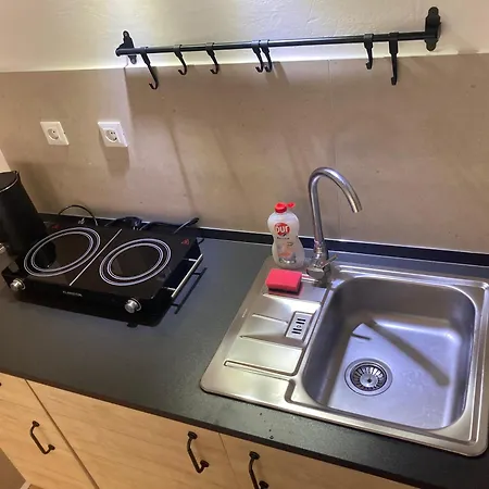 Apartment Vicelic *