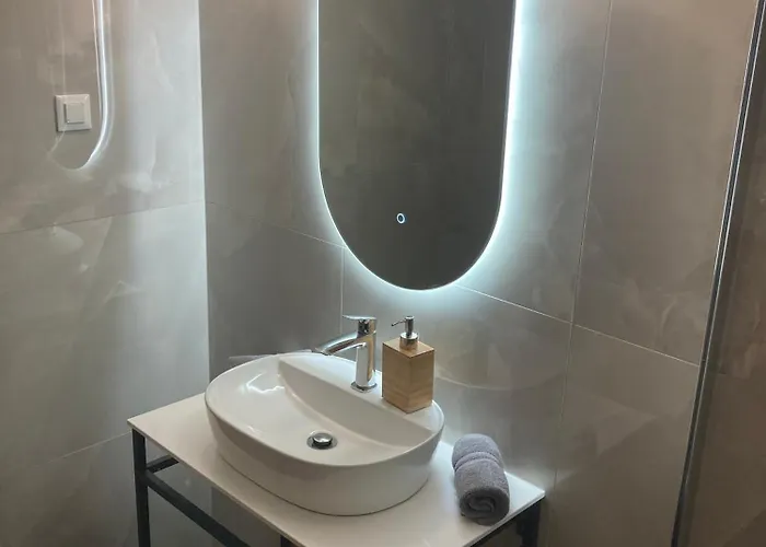 Vicelic Apartament