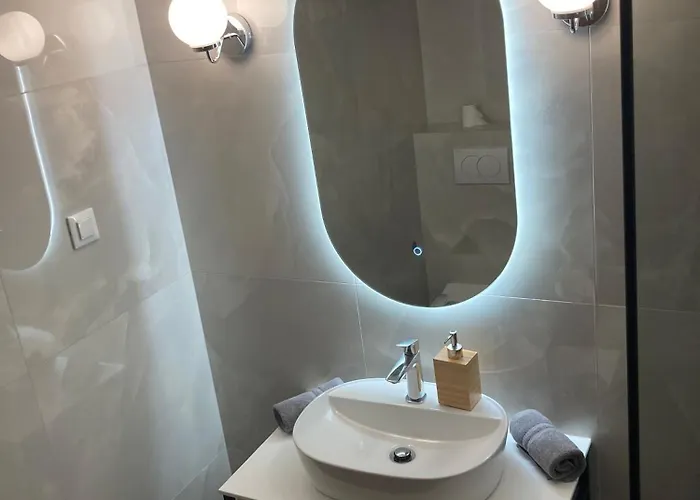 Apartament Vicelic *